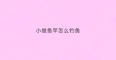 小继鱼竿怎么钓鱼(小继竿和矶钓竿区别)