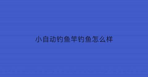 小自动钓鱼竿钓鱼怎么样(自动钓鱼竿的价格是多少钱)