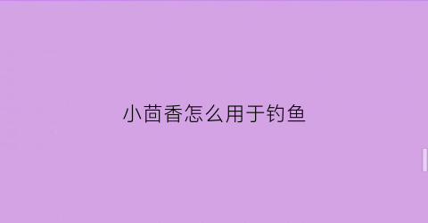 小茴香怎么用于钓鱼(小茴香能钓草鱼吗)