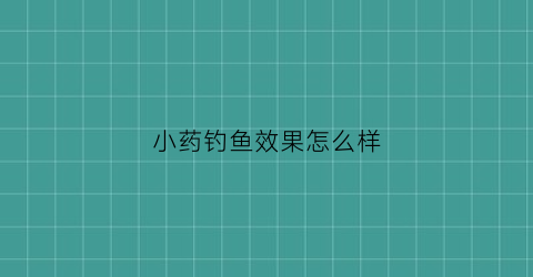 小药钓鱼效果怎么样