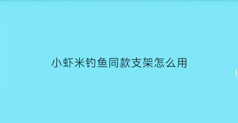 小虾米钓鱼同款支架怎么用(用小虾米能钓什么鱼)