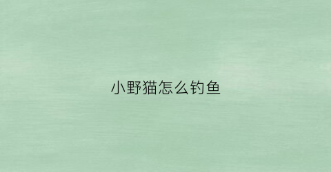 小野猫怎么钓鱼(小野猫怎么钓鱼最好)