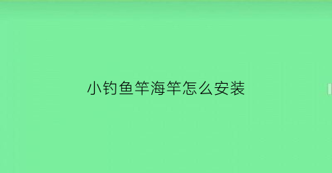 小钓鱼竿海竿怎么安装(钓鱼海竿组装视频教程)