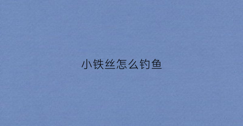 小铁丝怎么钓鱼(怎样用铁丝制作小挂钩)