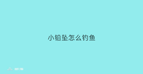 小铅坠怎么钓鱼(钓鱼铅坠方法视频)