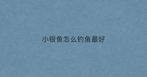 小银鱼怎么钓鱼最好(小银鱼钓鱼好不好用)