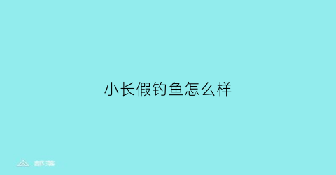 小长假钓鱼怎么样(假小鱼钓什么鱼)