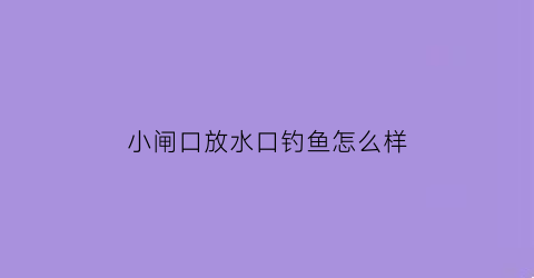 “小闸口放水口钓鱼怎么样(闸口放水怎么钓鲤鱼)