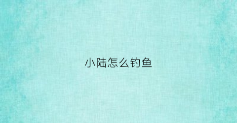 小陆怎么钓鱼(钓小鱼路亚用什么饵)