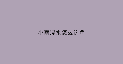 小雨混水怎么钓鱼(小雨混水怎么钓鱼最好)