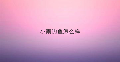 小雨钓鱼怎么样(小雨野钓)