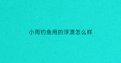 小雨钓鱼用的浮漂怎么样(小雨野钓)