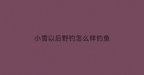小雪以后野钓怎么样钓鱼(小雪后如何钓鲫鱼)