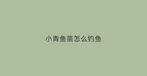 小青鱼苗怎么钓鱼(小青鱼苗拿什么喂养)