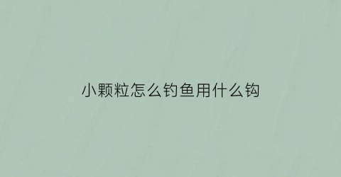 小颗粒怎么钓鱼用什么钩(用颗粒钓鱼用什么钩型最好)