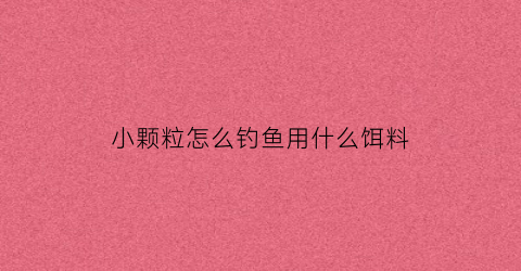 小颗粒怎么钓鱼用什么饵料(小颗粒饵料怎么开)