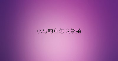 小马钓鱼怎么繁殖(小马钓鱼的故事)