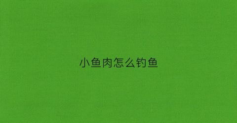 小鱼肉怎么钓鱼(用鱼肉钓鱼怎么挂钩)