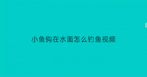 小鱼钩在水面怎么钓鱼视频(钓小鱼的钩)
