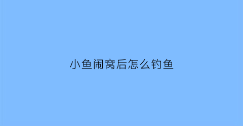 小鱼闹窝后怎么钓鱼