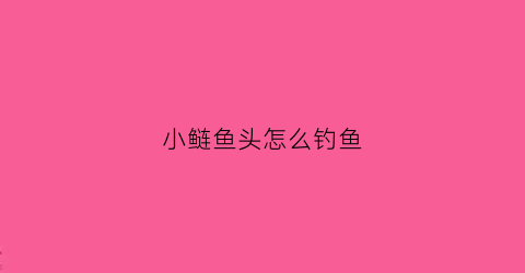 小鲢鱼头怎么钓鱼(鲢鱼头头型)