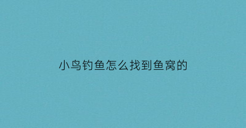 “小鸟钓鱼怎么找到鱼窝的(小鸟找窝什么意思)