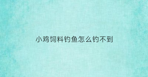 小鸡饲料钓鱼怎么钓不到(小鸡饲料鱼饵)