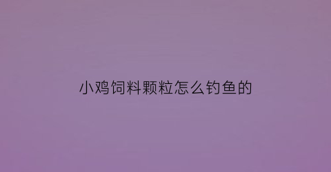 “小鸡饲料颗粒怎么钓鱼的(小鸡饲料钓鱼大颗粒的好还是小颗粒的好)