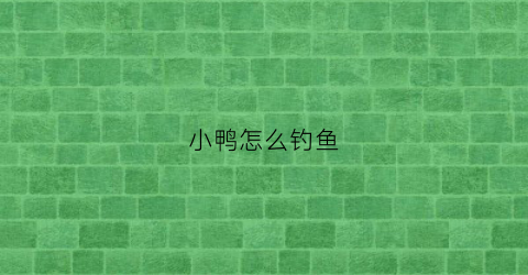 小鸭怎么钓鱼(钓小鸭子玩具视频)