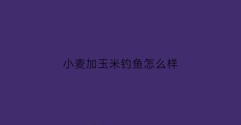小麦加玉米钓鱼怎么样(小麦加玉米钓鱼怎么样呢)