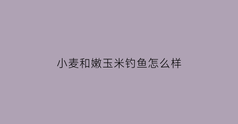 小麦和嫩玉米钓鱼怎么样(用玉米和小麦钓鱼哪个效果好)