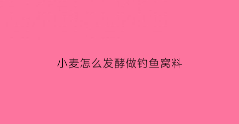 小麦怎么发酵做钓鱼窝料(小麦如何制作钓鱼窝料)