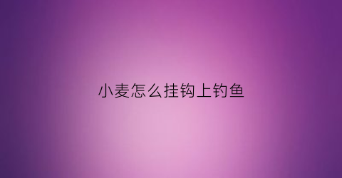 “小麦怎么挂钩上钓鱼(小麦如何挂钩钓鲫鱼)