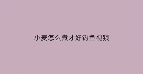 “小麦怎么煮才好钓鱼视频(小麦怎样煮才好吃)