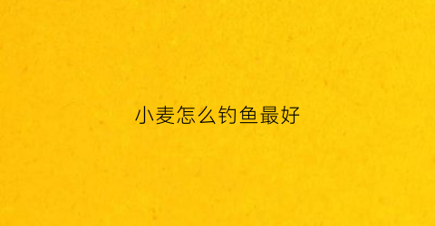 小麦怎么钓鱼最好(小麦怎么钓鱼最好呢)