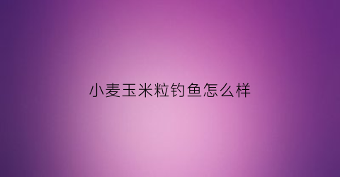 小麦玉米粒钓鱼怎么样(小麦玉米能钓什么鱼)