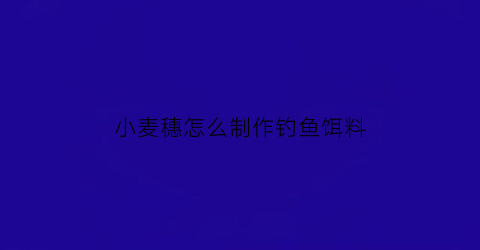 小麦穗怎么制作钓鱼饵料(如何钓小麦穗)