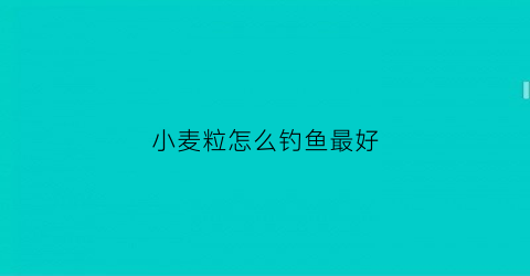 小麦粒怎么钓鱼最好(小麦粒钓鱼挂法图解)