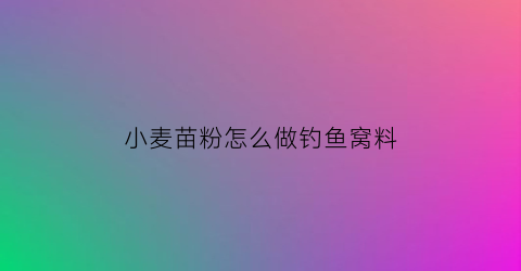 小麦苗粉怎么做钓鱼窝料(小麦苗粉怎么吃)