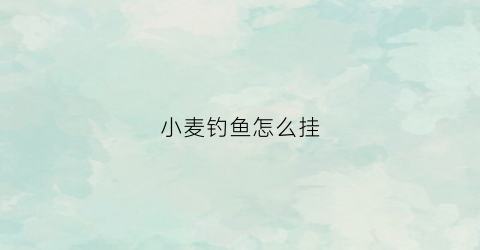 小麦钓鱼怎么挂