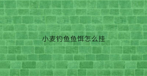 小麦钓鱼鱼饵怎么挂(用小麦钓鱼怎么挂钩)
