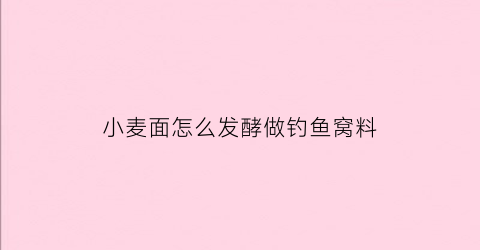 小麦面怎么发酵做钓鱼窝料(小麦发酵做窝料方法)
