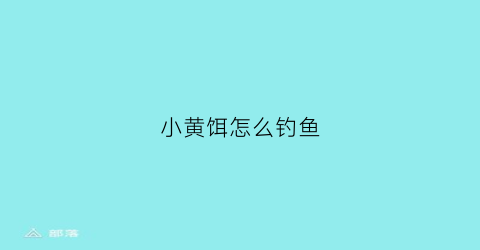 小黄饵怎么钓鱼(小黄鱼饵料)