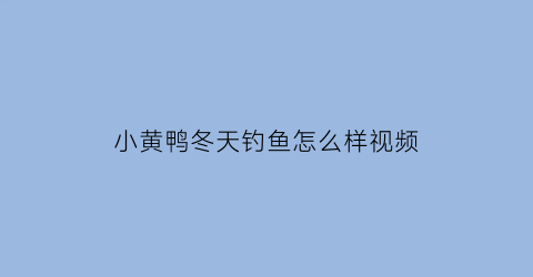 小黄鸭冬天钓鱼怎么样视频(小黄鸭钓鱼饵料)