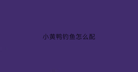 小黄鸭钓鱼怎么配(小黄鸭野钓好用吗)