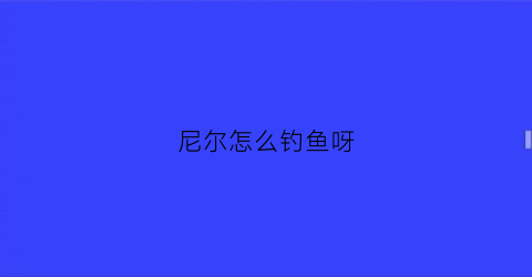 尼尔怎么钓鱼呀(尼尔怎么钓辅助机)