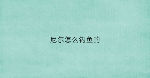 尼尔怎么钓鱼的(尼尔钓鱼全图鉴)