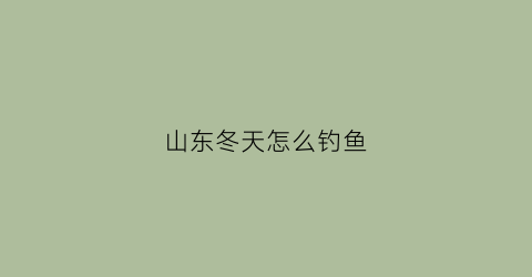 山东冬天怎么钓鱼(山东冬天怎么钓鱼好)