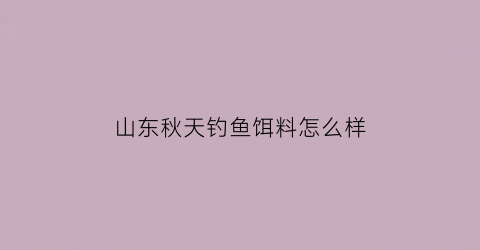 山东秋天钓鱼饵料怎么样(山东野钓)