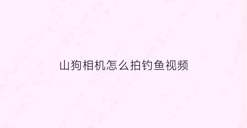 山狗相机怎么拍钓鱼视频(山狗相机怎么把视频传到手机上)
